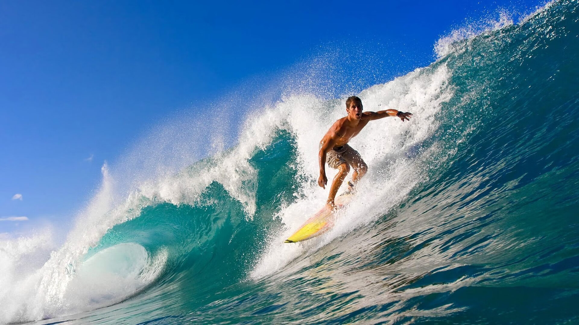 东决关键战之夜，文班亚马存在感拉满