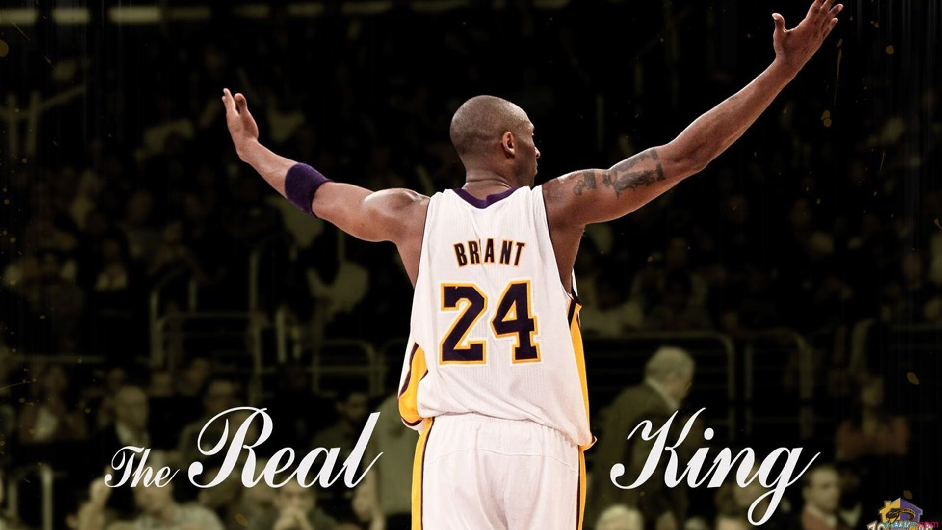 步行者掀翻广东队，霍勒迪成为关键先生